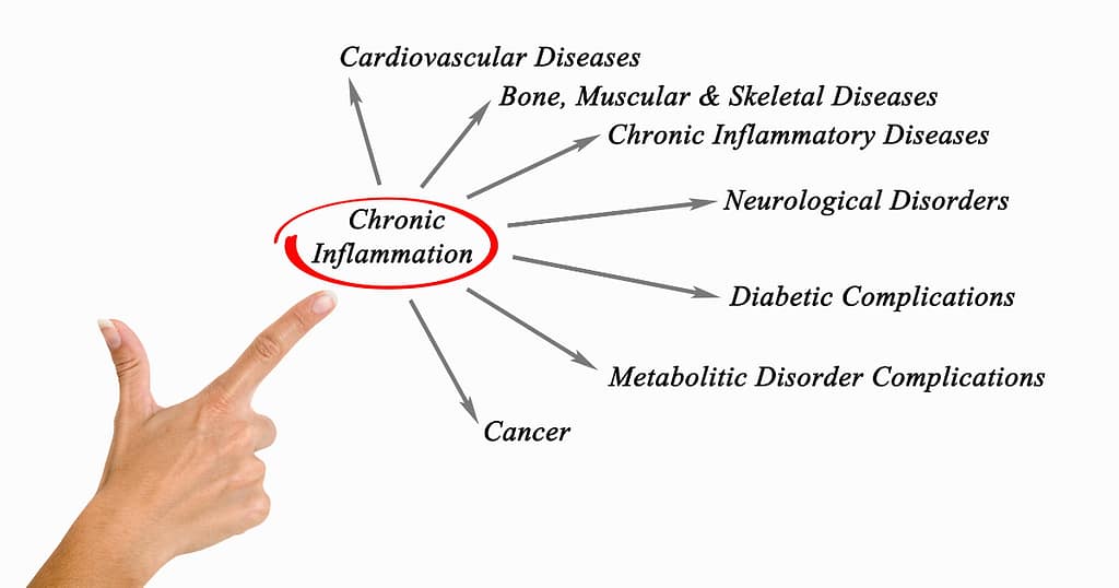 chronic inflammation explanation
