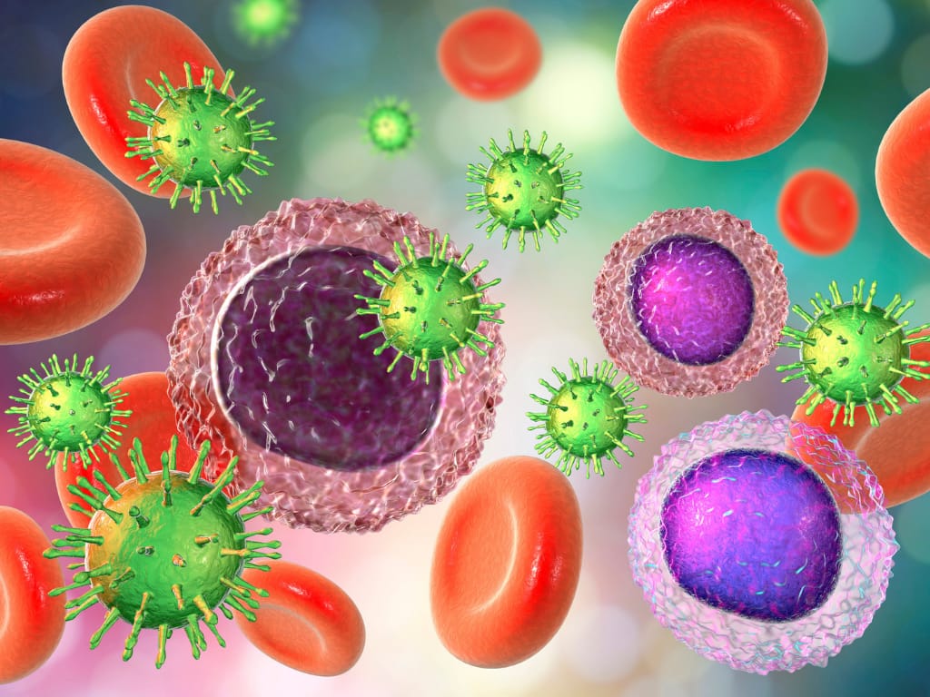 Best Immune System Supplements