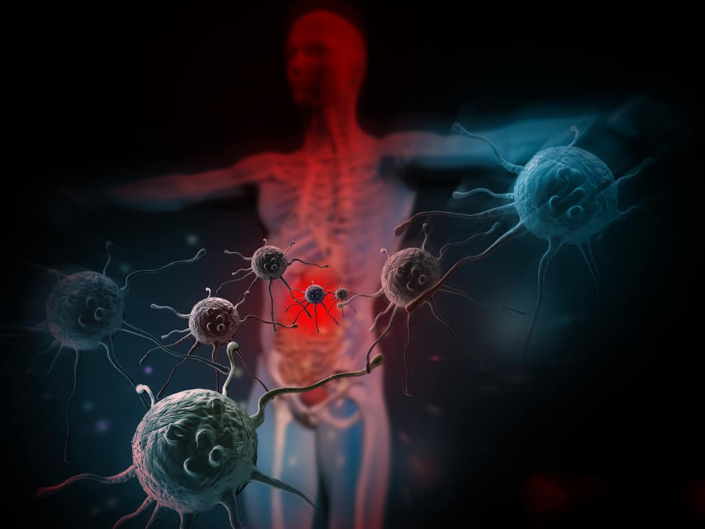 Vitamins for immunity - Herbal immune boosters - Top supplements for immune health