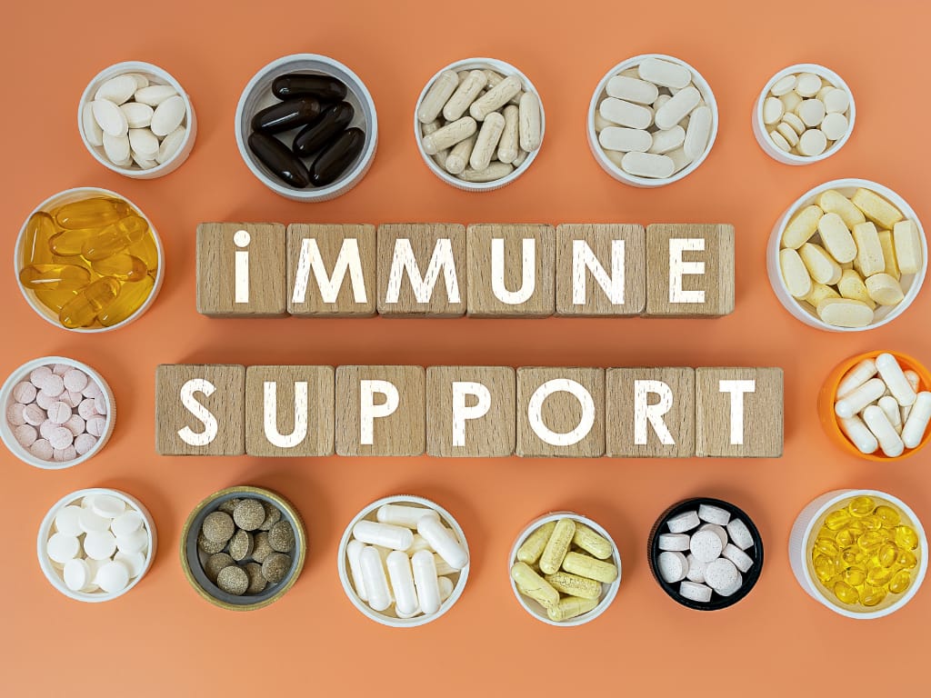 Zinc for immune function - Vitamin C for immune support - Vitamin D3 for immunity - Elderberry immune supplement - Echinacea for immune support - Garlic immune benefits