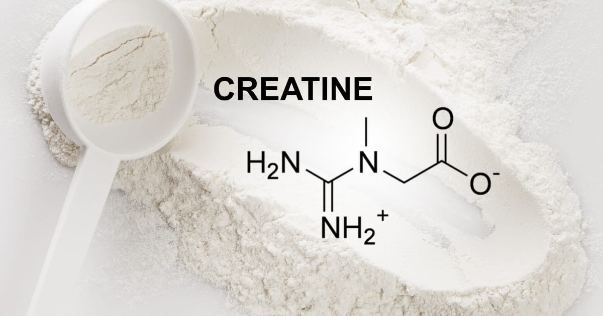 Creatine muscle gain powder