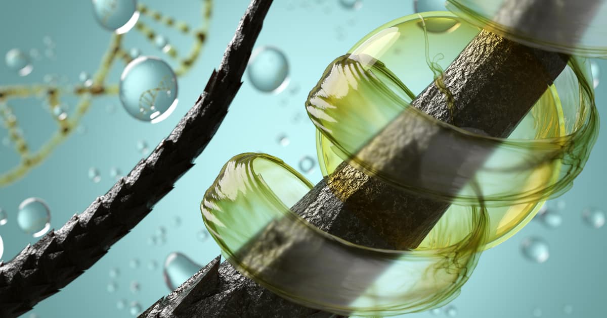 Natural Hair Growth Hair Growth Oil