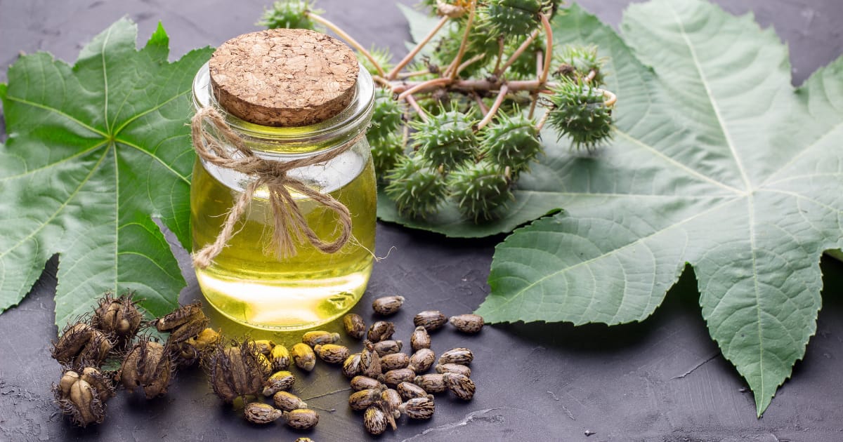 Nourishing Hair Moisturising Hair Scalp Health Dandruff Treatment