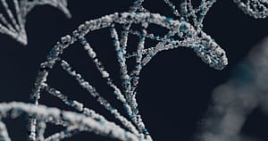 natural hair growth tips