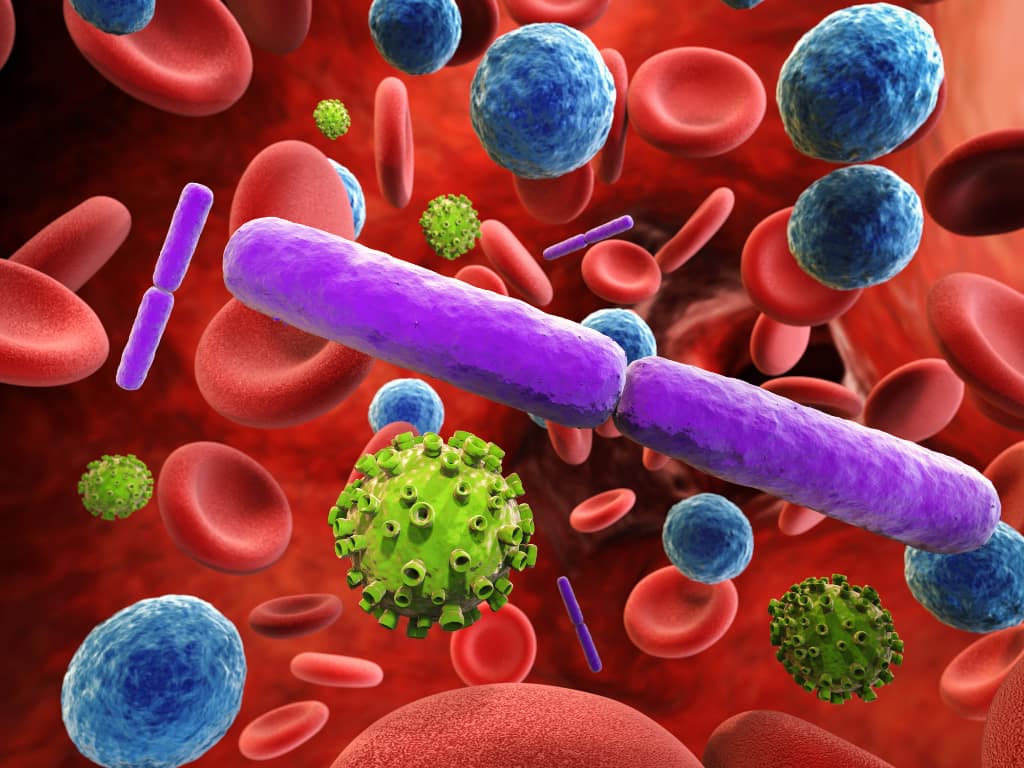 Immune defense natural products - Healthy immune system supplements - Supplements for inflammation and immunity