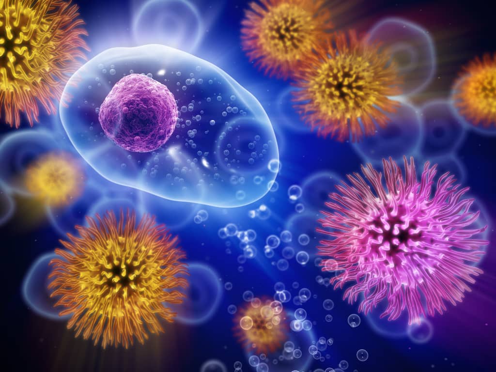 Immune system vitamins - Immunity-boosting herbs - Best supplements for immune defense