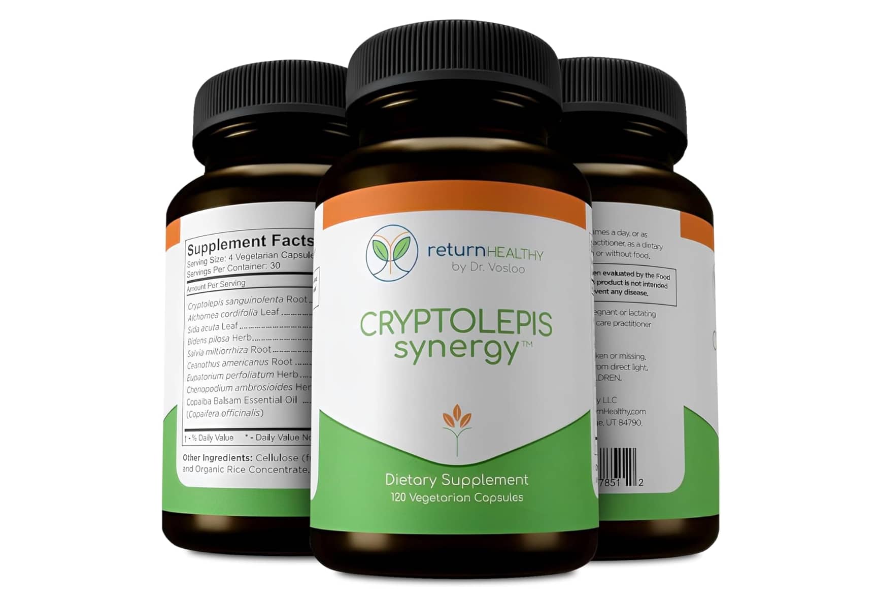 Cryptolepis Immune Support
